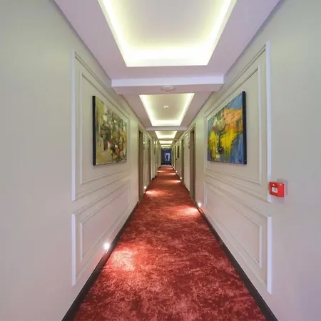 Отель Luxon Сакарья