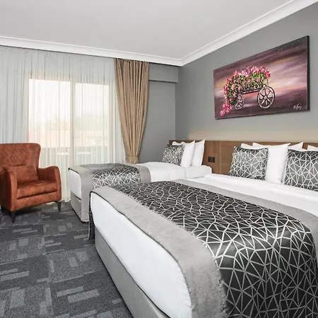 Luxon Sakarya Hotel Sakarya (Marmara)