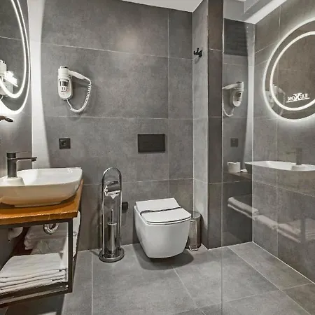 Hotel Luxon Sakarya 4*